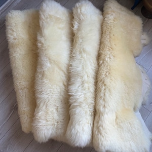 May include: Four white sheepskin rugs laid out on a wooden floor. The rugs are soft and fluffy, and they would be perfect for adding a touch of warmth and comfort to any room.