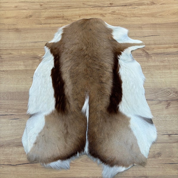 Springbok Skin, Natural Antelope rug, Genuine springbok, springbok pelt,Springbok Fur, springbok leather, Real Antelope Skin, 85x65 cm