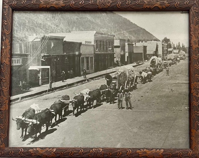Antique Western Photograph Print Black and White Vintage Framed Horizontal Southwest Western Mountain Bull Long Horn Ghost Town Gold Rush