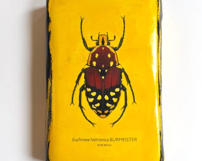 Vintage Beetle Painting Signed Howard Signer Yellow Rose Beetle