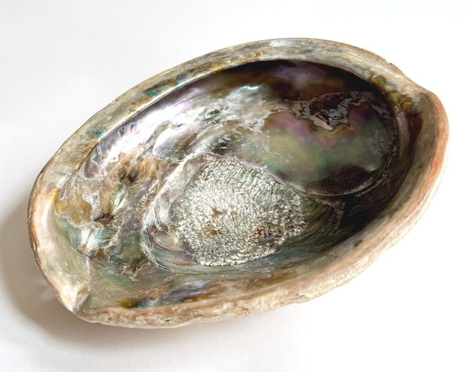Large Natural Abalone Shell Dish Tray Soap Dish Vintage Shells Healing Smudge Stick Dish