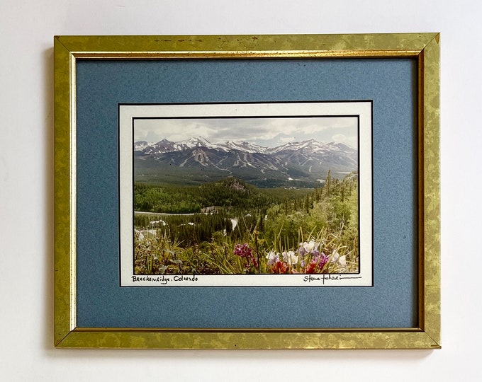 Signed Colorado Mountain Photograph by Steve Tohari Framed Nature Landscape Flowers Photography Breckenridge Southwest Western America