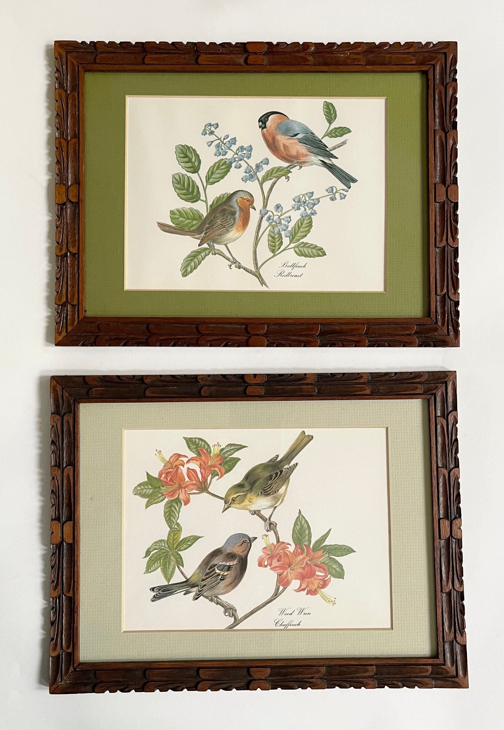 Botanical Bird Framed Prints Pair Set of Two Carved Wood Frames Soft