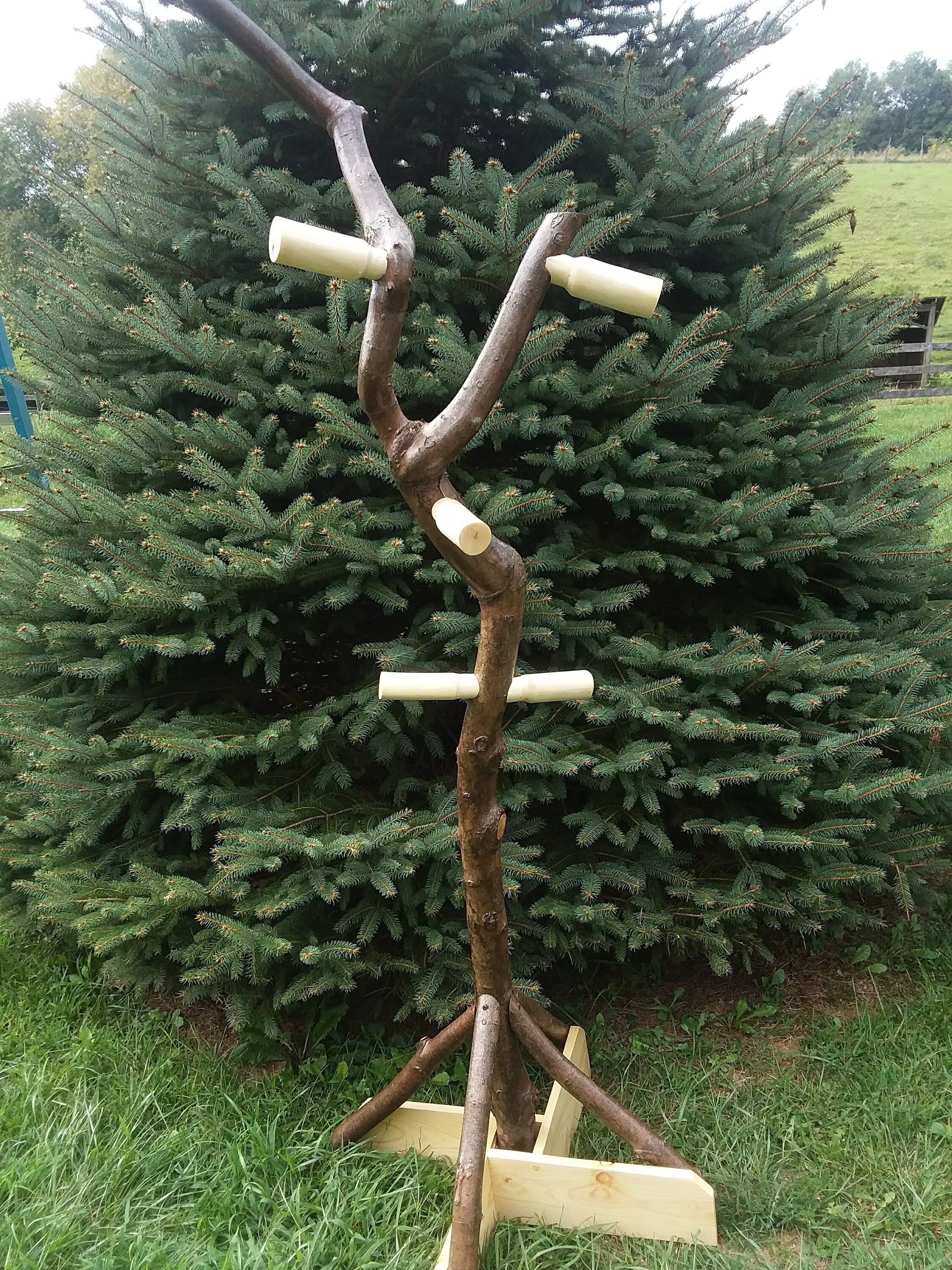 Twisted Maple Log Coat Tree LOCAL PICK UP Only Etsy