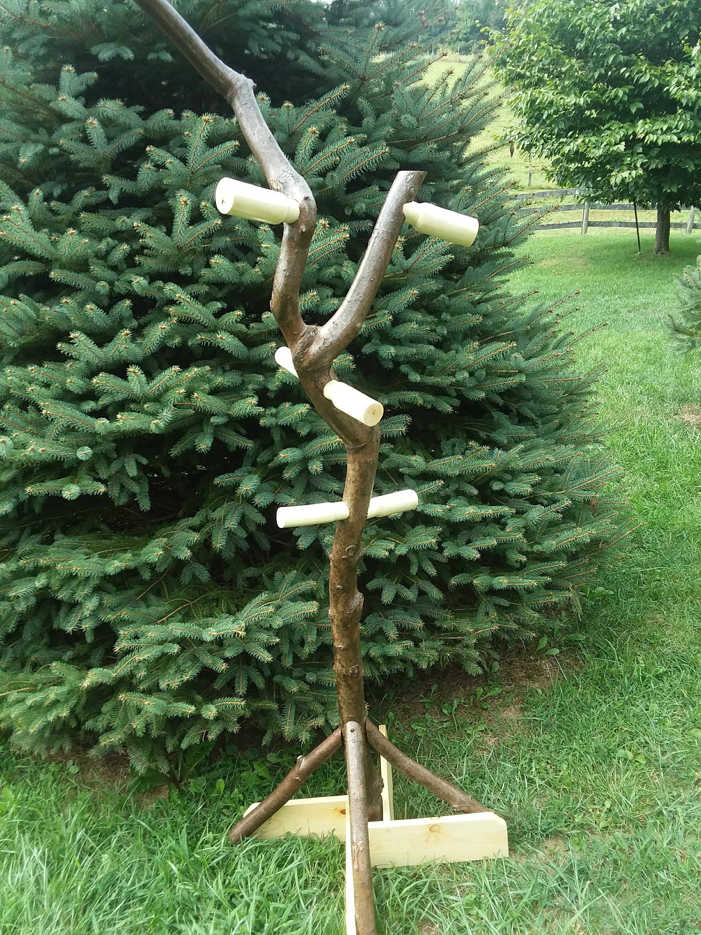 Twisted Maple Log Coat Tree LOCAL PICK UP Only Etsy