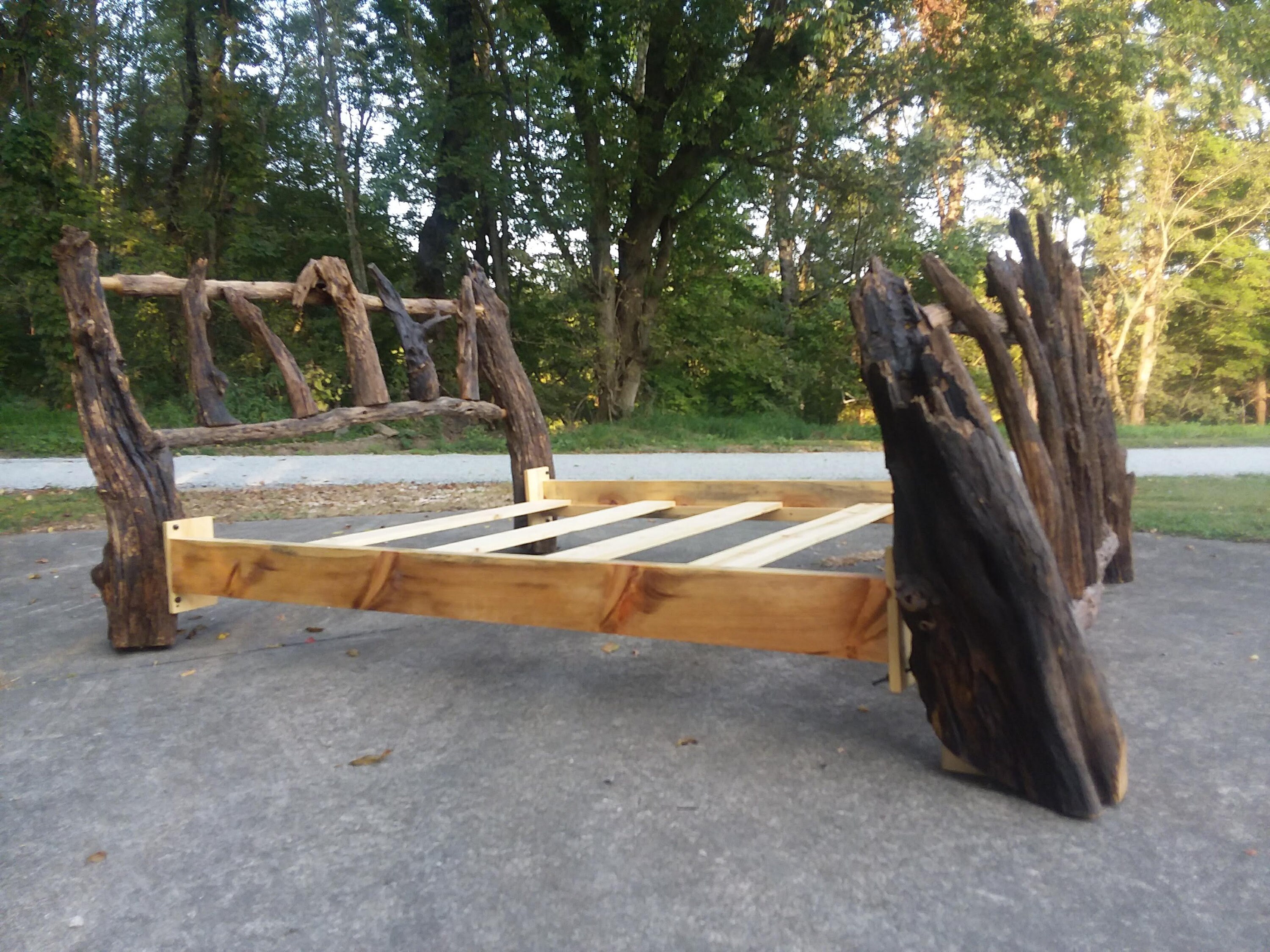 Locus Bed Rustic Black Locust Root Queen Sized Bed LOCAL PICKUP ONLY | Etsy