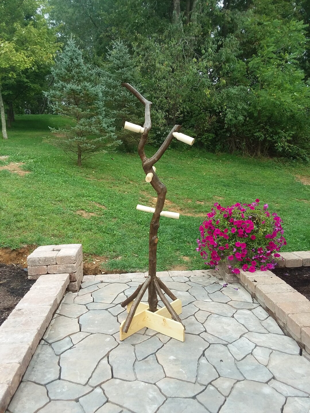 Twisted Maple Log Coat Tree LOCAL PICK UP Only Etsy