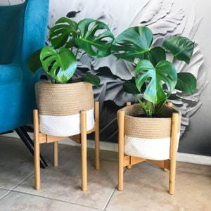 May include: Two potted plants with large green leaves in white and brown woven baskets on wooden stands. The plants are on a white and gray patterned background.