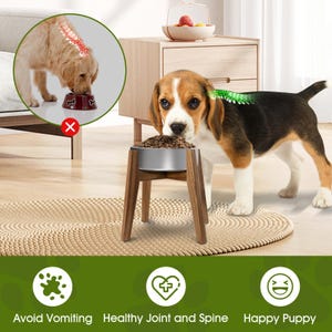 May include: A raised pet bowl with a silver metal basin set on a dark wood stand. A beagle eats from the bowl, while an inset circle shows a dog eating from a low bowl with a red X. Text below reads: Avoid Vomiting, Healthy Joint and Spine, Happy Puppy.