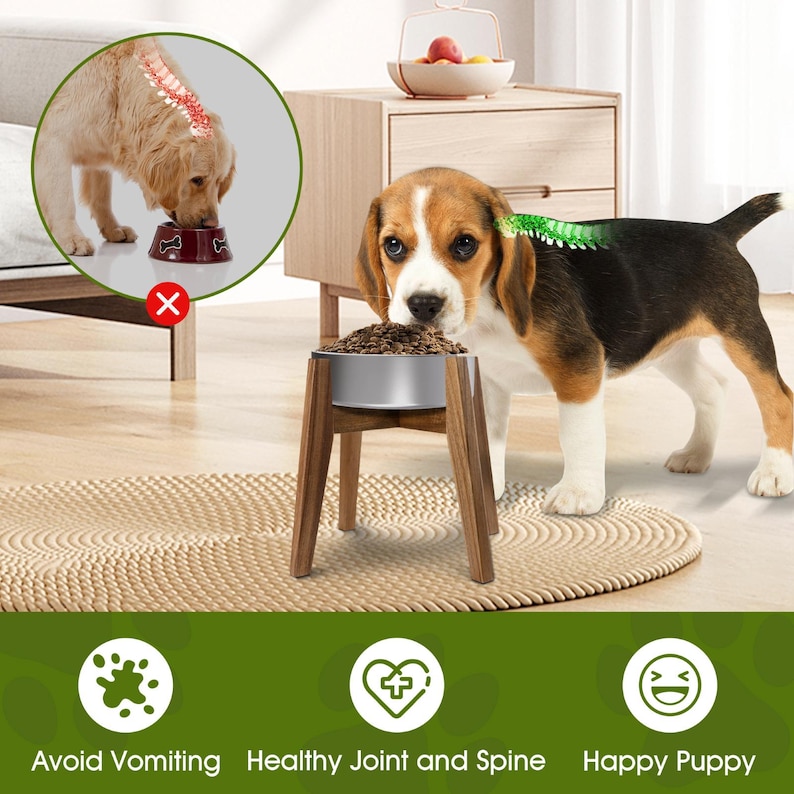 May include: A raised pet bowl with a silver metal basin set on a dark wood stand. A beagle eats from the bowl, while an inset circle shows a dog eating from a low bowl with a red X. Text below reads: Avoid Vomiting, Healthy Joint and Spine, Happy Puppy.