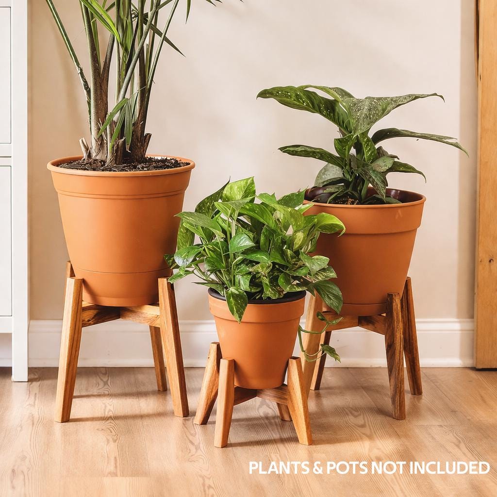 Mid Century Modern Plant Stand, Acacia Wood Indoor Plant Stand