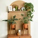 Acacia Hardwood Indoor Plant Stand Adjustable Planter Stand - Mid Century Plant Stands for Indoor Plants - Fits 8 9 10 11 12'Pot 