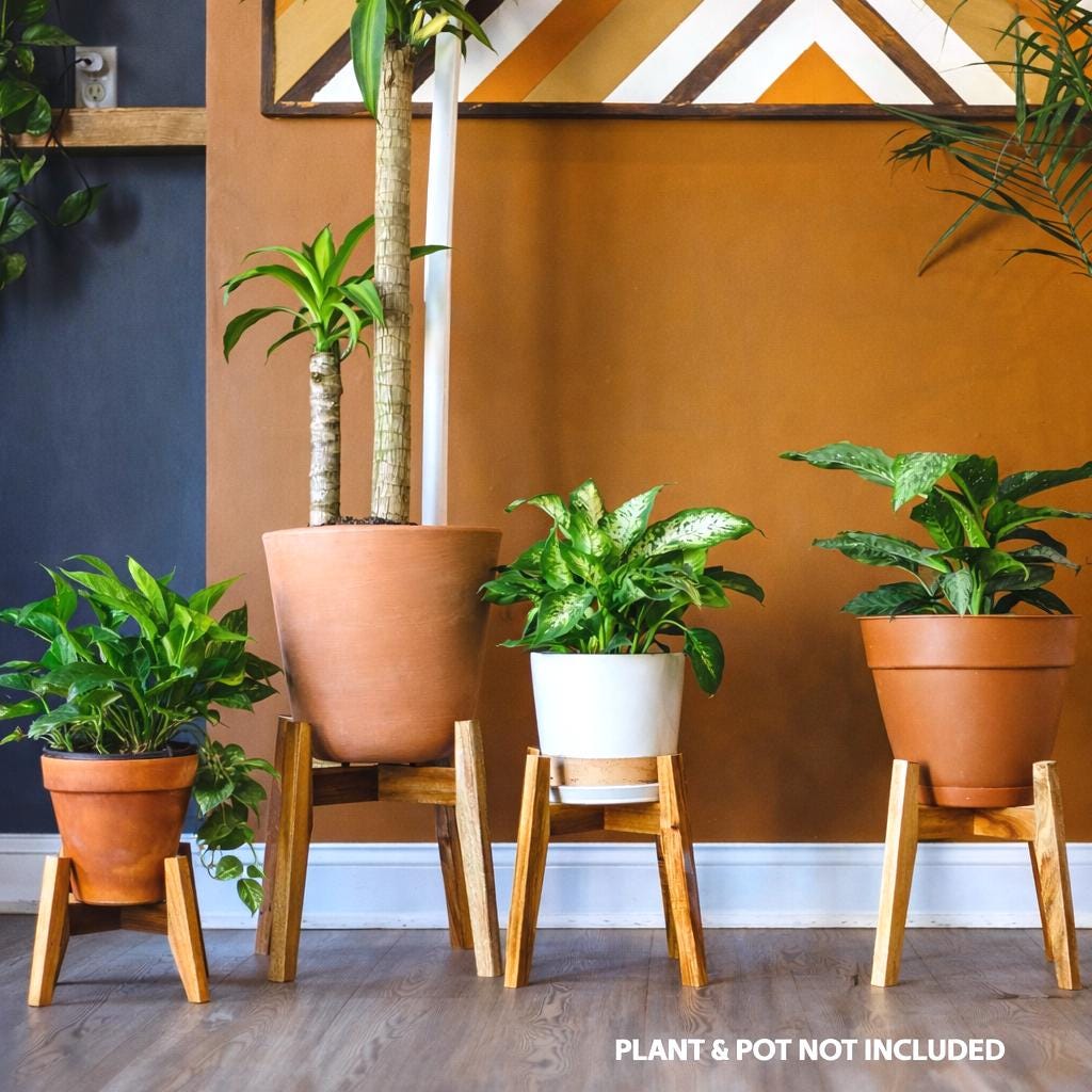 Mid Century Modern Plant Stand, Acacia Wood Indoor Plant Stand