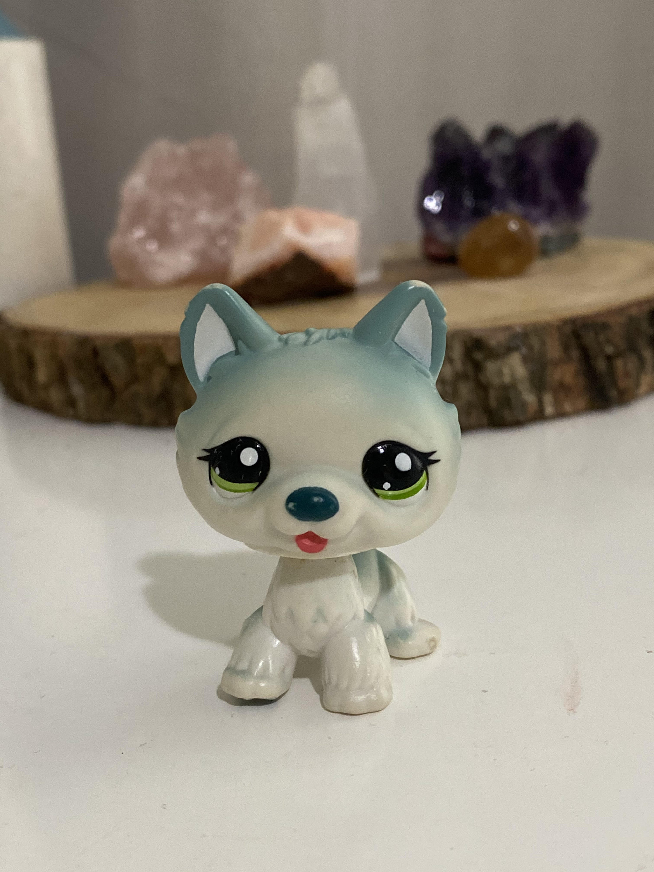 lps blue husky