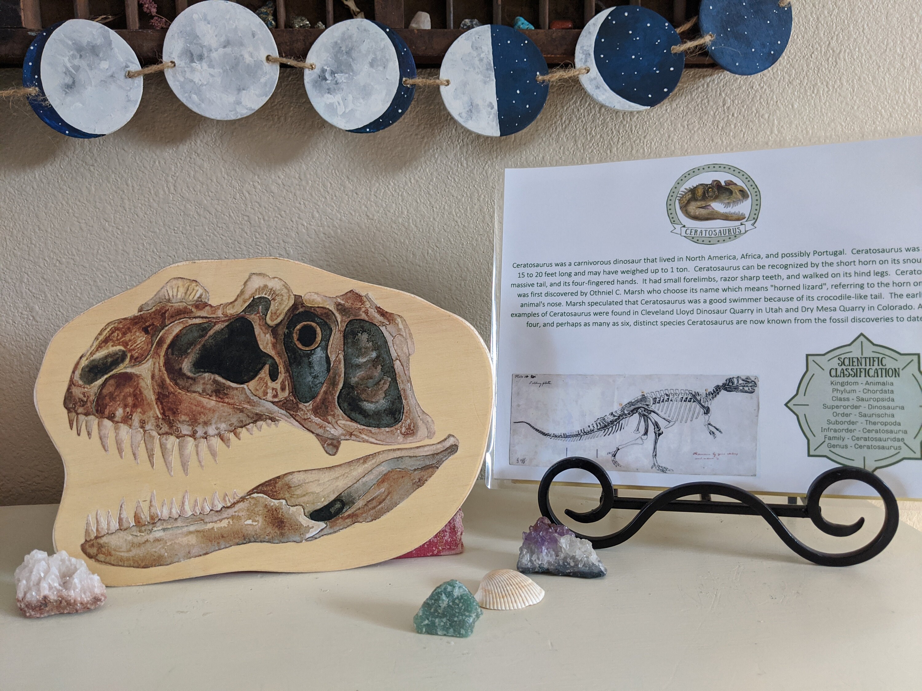 Dinosaur Skull Learning Set Dinosaur Model Paleontology Etsy