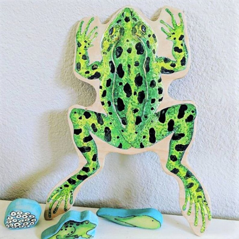 Frog Anatomy Printable Labeled Frog - Etsy Australia