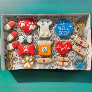 Doctor Says Treats Will Help! Deluxe Get Well Soon Dog Treat Gift Box