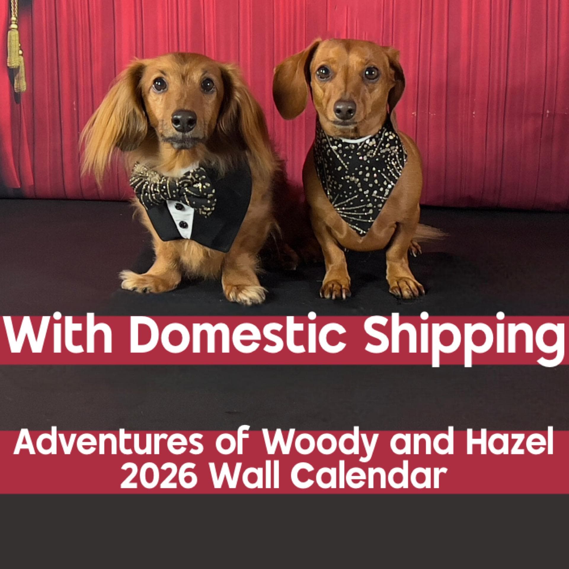 2026 Adventures of Woody and Hazel Wall Calendar With Free