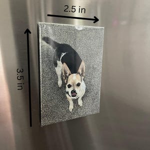 Puede incluir: Un im&aacute;n rectangular con un perro. El im&aacute;n mide 8,9 cm de alto y 6,4 cm de ancho. El perro tiene pelaje blanco y negro y est&aacute; mirando hacia arriba. El fondo es una superficie gris texturizada.