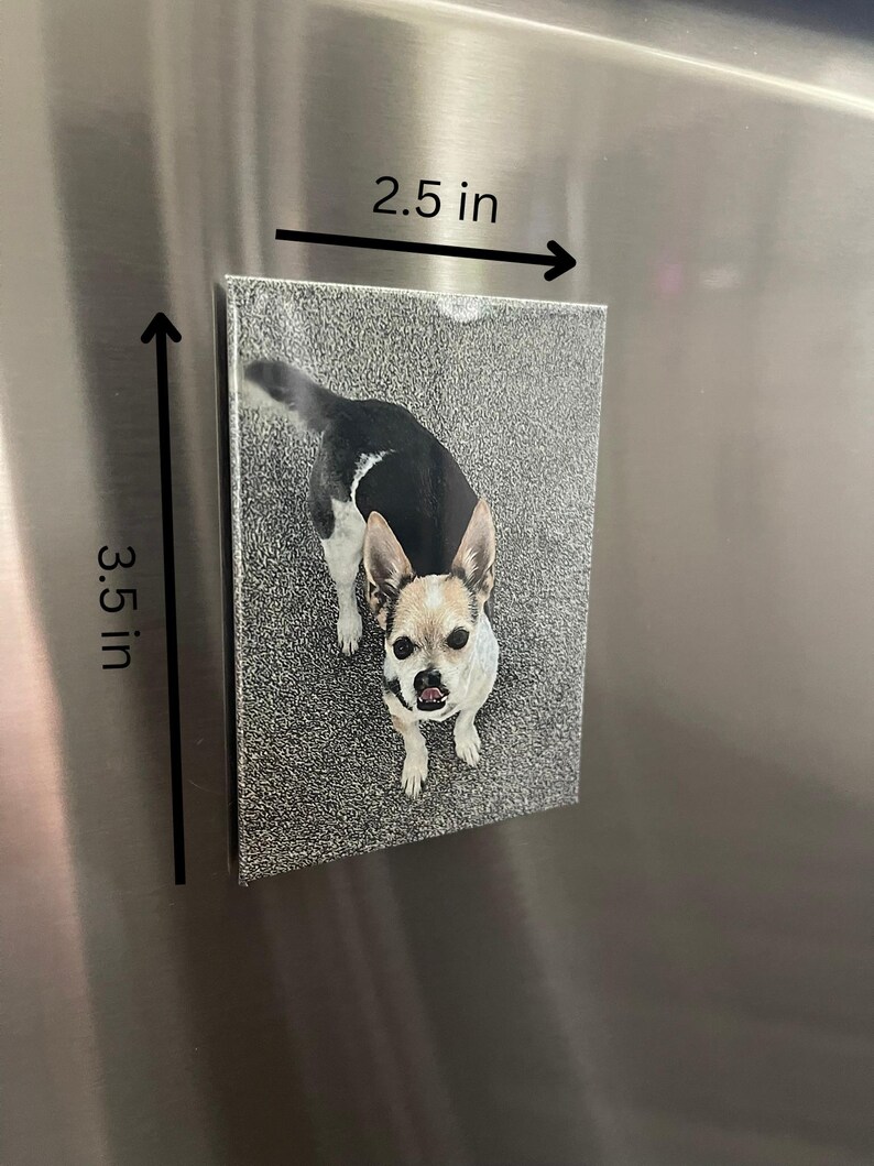 Puede incluir: Un im&aacute;n rectangular con un perro. El im&aacute;n mide 8,9 cm de alto y 6,4 cm de ancho. El perro tiene pelaje blanco y negro y est&aacute; mirando hacia arriba. El fondo es una superficie gris texturizada.