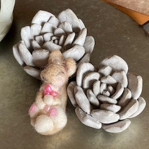 Needle felted wool sleeping baby bunny, rabbit, hearts, love, sweet, curled up, adorable, flower, silly, hearts, Valentine’s Day, gift