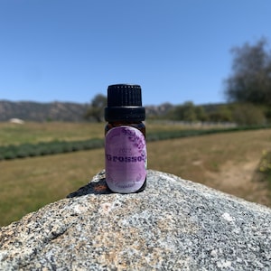 Lavender Essential Oil - 10 milliliters of Grosso 100% Pure Lavender Oil