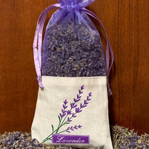 White Lavender Grosso Seeds - Etsy