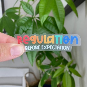 Regulation Before Expectation CLEAR Sticker 1"x3"Autism Disability  Special Needs Mom Special Education Teacher Gift aba Therapist