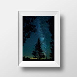 Starry Night Sky - Milky Way Galaxy - Silhouette of Pine Tree Forest in Northern Ontario, Canada - Fine Art Night Photography Print