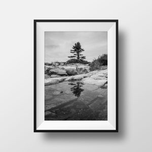 Lone Pine Tree Reflection on Calm Lake Poster - Northern Ontario Nature Landscape Photography - Georgian Bay Fine Art Print - Cabin Decor