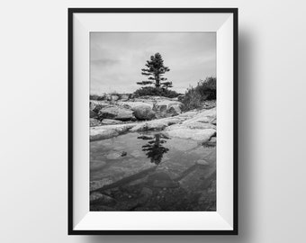 Lone Pine Tree Reflection on Calm Lake Poster - Northern Ontario Nature Landscape Photography - Georgian Bay Fine Art Print - Cabin Decor