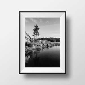 Calm Lake Print - White Pine Trees on Granite Shoreline - Scenic Nature Landscape Photography of Killarney Provincial Park