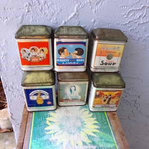 The Tin Box Co house spice tins, house tins, vintage decorative tins, spice tin cans, house shape tin cans, vintage tin can spice canisters