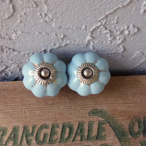 May include: Two light blue flower-shaped cabinet knobs with a silver and gold center. The knobs are made of ceramic or porcelain and are set on a wooden surface. Decorative hardware for furniture.