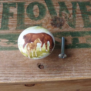 May include: White ceramic knob with a brown horse and foal image. The knob has a silver screw.