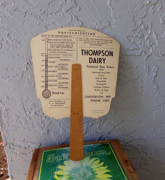 Advertising fan, Thompson Dairy paper fan, histor… - image 4