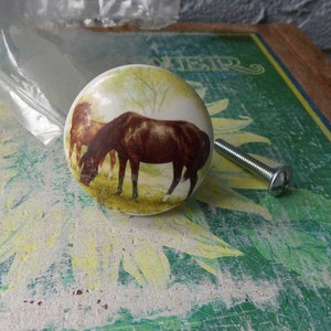 May include: White ceramic knob with a brown horse and foal design. The knob has a silver screw.
