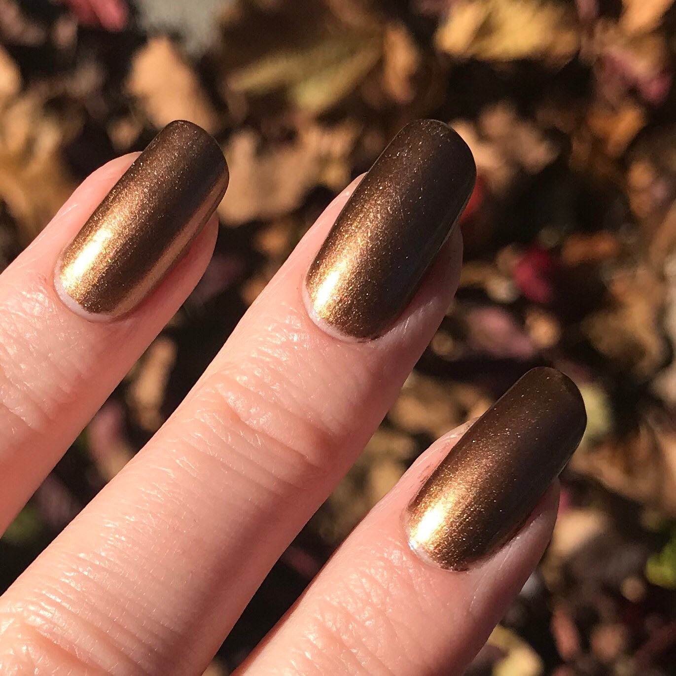GREAT COMET Dark Bronze Nail Polish Broadway Nail Polish - Etsy Sweden