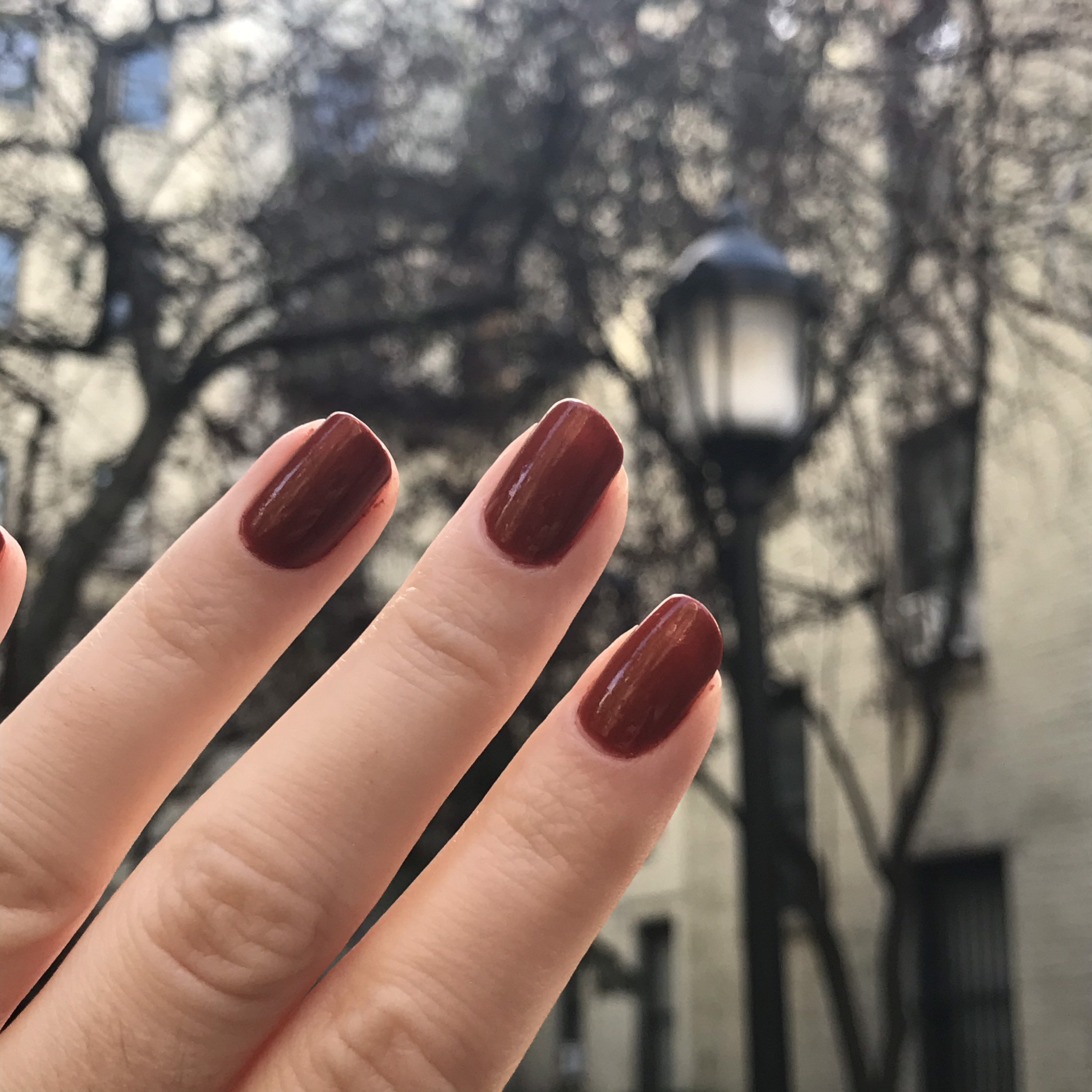 NANCY Deep Rust Red Nail Polish Broadway Nail Polish Vegan Nail Polish ...
