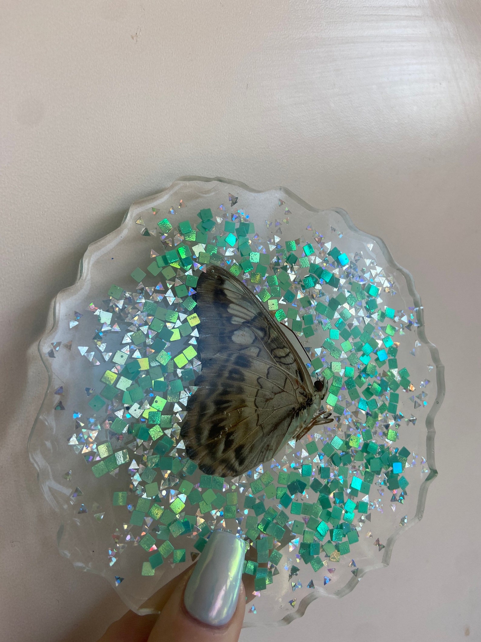 Real butterfly resin coaster Etsy