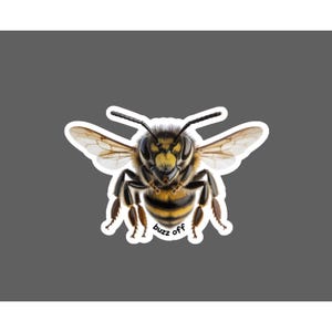May include: A sticker featuring a detailed illustration of a honeybee with yellow and black stripes, translucent wings, and antennae. The bee is shown from a front-facing perspective with the text "buzz off" printed in black below its abdomen.