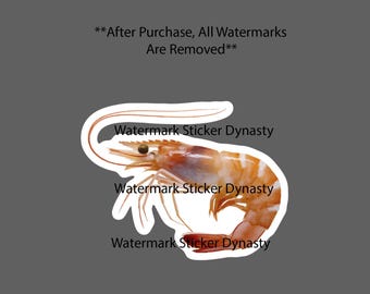 Shrimp Sticker Waterproof Decal Animal Ocean Beach Seafood Gift NEW