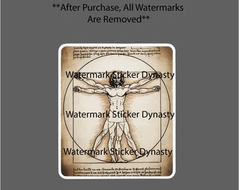 The Vitruvian Man Sticker Waterproof Decal Leonardo da Vinci Art Artist Gift NEW