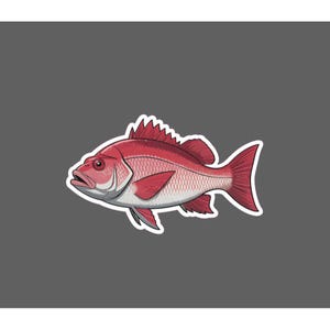Red Snapper Sticker Fish Outdoor Wildlife Nature Ocean Waterproof Gift NEW