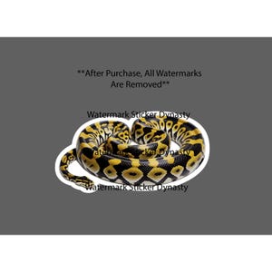 May include: A sticker featuring a coiled ball python with a distinct pattern of black and bright yellow scales. The snake is shown in a circular resting position with its head visible on the left side. The text reads **After Purchase, All Watermarks Are Removed** and Watermark Sticker Dynasty.