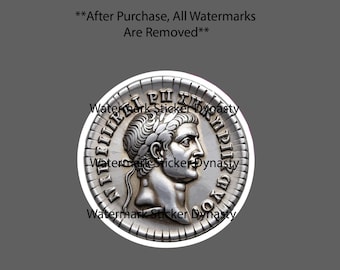 Roman Denarius Sticker Waterproof Decal Denarii Silver Coin Rome Gift NEW