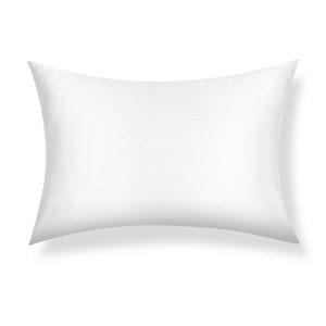 May include: A white pillow with a smooth, soft surface. The pillow is rectangular and has a slightly curved shape.