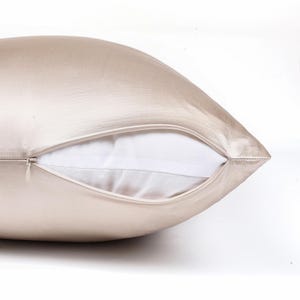 May include: A champagne-colored pillowcase with a smooth, lustrous finish and a hidden zipper closure. The zipper is partially open, revealing a plain white inner pillow insert. The fabric has a subtle sheen and a soft, uniform texture.