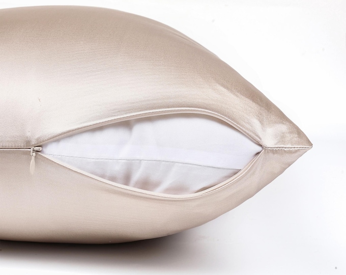 22 Momme 100% Silk Pillowcase - Hidden Zipper Closure, OEKO-TEX Certified, Envelope Closure, Grade 6A Pure Silk, Hair & Skin Friendly