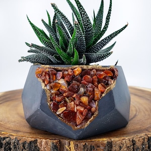 May include: A gray geometric concrete planter with a gold rim and a crack filled with red carnelian stones. A green succulent plant is growing in the planter.